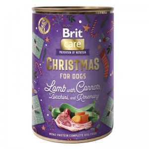 PUSZKA DLA BEZDOMNIAKA Brit...